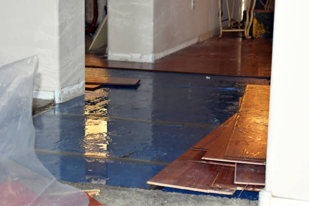 Professional Water Damage Restoration technician working in Vernon, AZ